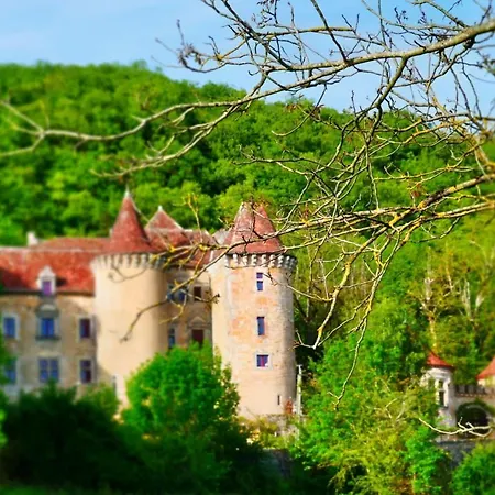 Chateau De Saint Dau *