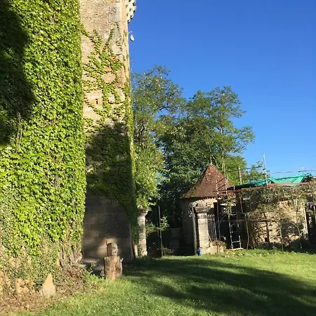 Holiday home Chateau De Saint Dau