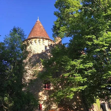 Chateau De Saint Dau Holiday home Figeac