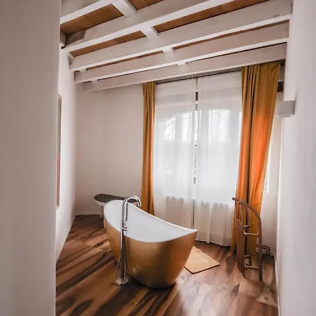 Chateau De Saint Dau * Фижак