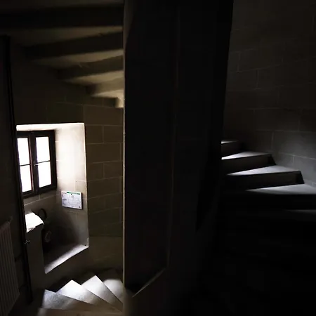 Chateau De Saint Dau *