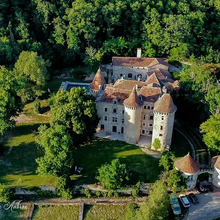 Chateau De Saint Dau