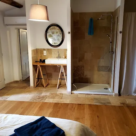 Chateau De Saint Dau Holiday home *