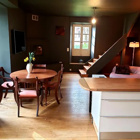 Chateau De Saint Dau Holiday home *