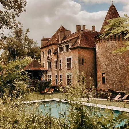 Chateau De Saint Dau Holiday home Figeac