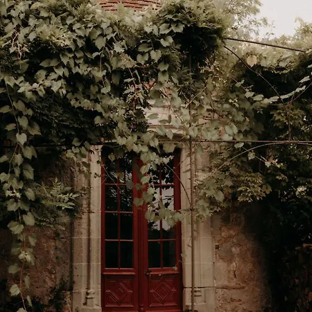 Chateau De Saint Dau Holiday home Figeac