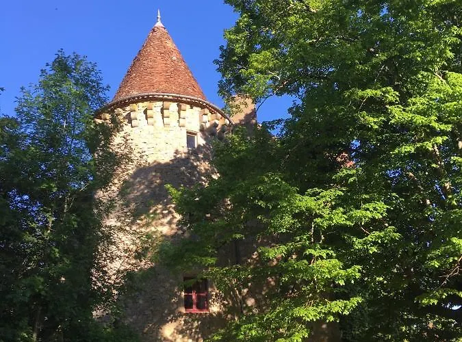 Chateau De Saint Dau Nyaraló Figeac