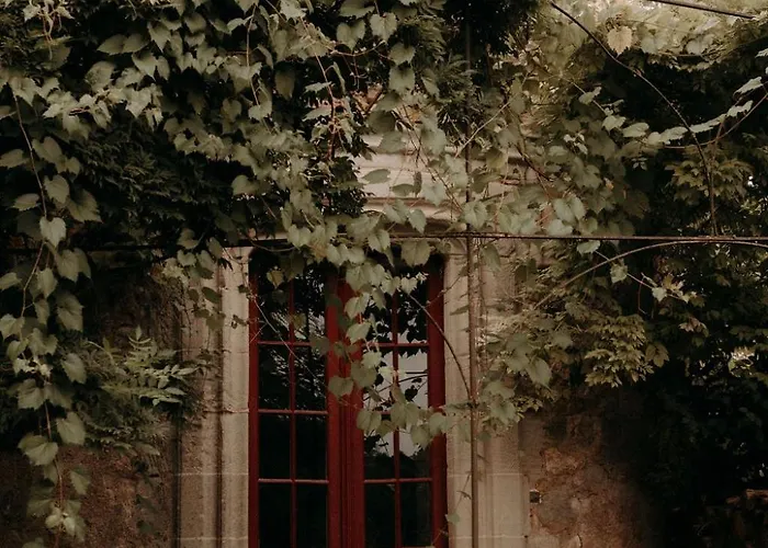 Chateau De Saint Dau Nyaraló Figeac